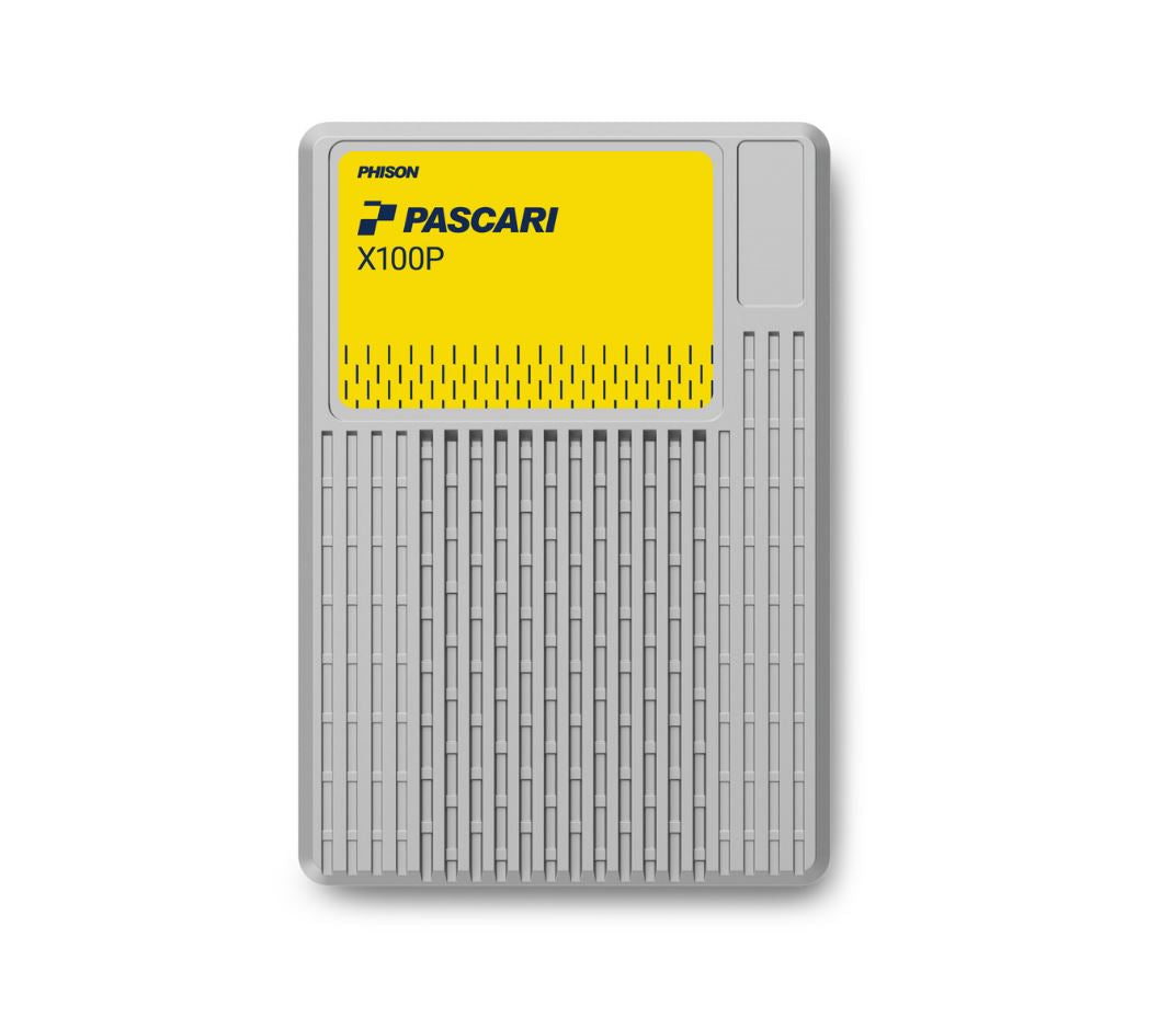 Phison Pascari X100P U.2 30.72TB Single Port Non-SED Solid State Disk - Enterprise - XP106H0030T7P0132T700 | SKU X100PP30T7