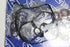 KIA PICANTO GASKET SET 1.2 4 CYL ENGINE