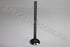 HYUNDAI H100 EXHAUST VALVE 36X132