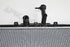 HYUNDAI H1 RADIATOR 2.5 DIESEL