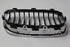 BMW GRILLE F20 LF