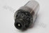BMW E46 GLOBE XENON