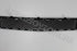 MERC BUMPER GRILLE W204 PF CENTRE