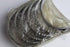 BMW E46 318 MAIN BEARING 10T