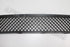 BMW BUMPER GRILLE - CENTRE 1 SERIES N/S"07-10"