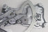 BMW WINDOW REGULATOR E36 RF  [6 month GRNTE][1 F]