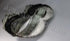 MERCEDES W203 FACELIFT HEADLIGHT C/C RIGHT FRONT
