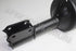 RENAULT SHOCK FRONT CLIO 1 / 2 2005 1.4