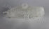 RENAULT WATER BOTTLE CLIO 3 1.4L/1.6L 2006-2008