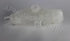 RENAULT WATER BOTTLE CLIO 3 1.4L/1.6L 2006-2008