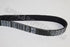 NISSAN FAN BELT ALMERA 1.6 02-06