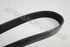 JEEP FAN BELT RENEGADE 1.6 2016