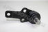 FORD BALL JOINT BANTAM LOWER 1.6 L=R 00-05