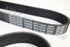 MAZDA/JAGUAR FAN BELT BT-50 2.2 TDCI 2012