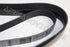 FORD FAN BELT RANGER 3.2 11-15