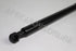 AUDI BOOT SHOCK A3 L=R 1.8T 2012