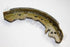 DAIHATSU BRAKE SHOE SET SIRION 1.3 REAR 2006