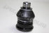 DATSUN GO BALL JOINT LOWER L/R 1.2 2014