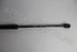 FORD BOOTLID SHOCK FIESTA 2012 L/R