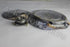 CHEV CLUTCH KIT SPARK 800CC RELEASER BEARING