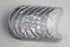 FIAT BIG END BEARING PALIO 1.2 97-02