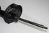 FORD SHOCK FOCUS3 1.0 FRONT RH 2016