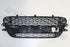 CITROEN BUMPER GRILLE C3 2010