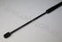 AUDI BOOT SHOCK A3 LH/RH 2008