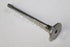 LANDROVER DISCOVER 4 3.0 TDV6 2010 EXHAUST VALVE