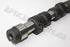 VOLKSWAGEN  POLO 1.6I  06-10 CAMSHAFT