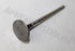 FIAT STRADA 1.4I 2008 EXHAUST VALVE