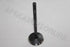 LANDROVER DISCOVER 3 4.0 V6 2006 EXHAUST VALVE