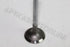 PEUGEOT 406 2.0 16V STD 2000 EXHAUST VALVE