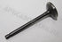 TOYOTA TAZZ 1.3 2002 EXHAUST VALVE