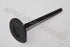 TOYOTA TAZZ 1.3 2002 INLET VALVE