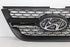 HYUNDAI ATOS RADIATOR GRILLE N/S