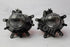 BMW E46 FOG LAMP SET NEW SPEC