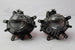 BMW E46 FOG LAMP SET NEW SPEC
