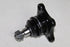 MITSUBISHI BALL JOINT COLT 2.4I LOWER 1999