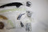 AUDI A5 2011 2.0T TIMING CHAIN KIT