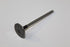 NISSAN EXHAUST VALVE NP200 1.6 K7M 08-23