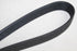 RENAULT FANBELT MEGANE 2 1.9DCI F9Q 05