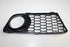 BMW BUMPER GRILLE F20 SPORT LF