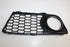 BMW BUMPER GRILLE F20 SPORT RF