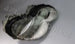 MERCEDES W203 FACELIFT HEADLIGHT C/C RIGHT FRONT