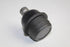 FORD BALL JOINTS-UPPER Lor R TERRITORY 4.0 05-11