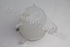 RENAULT WATER BOTTLE CLIO/SANDERO