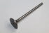 AUDI A4 2001-2005 2.0 ALT EXHAUST VALVE