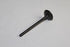 CHEVROLET CAPTIVA 2008-2011 3.2 10HM EXHAUST VALVE