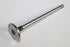 MITSUBISHI VALVE-EXHAUST 2.5 4D56 2010